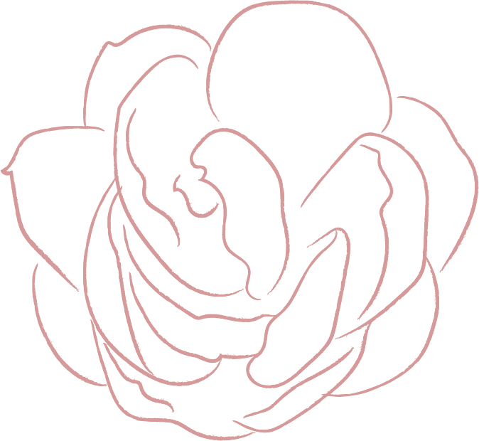 elements line drawing white jasmine flower illustrations FF57E82 2020 06 29 2 1 NAWETA AESTHETICS