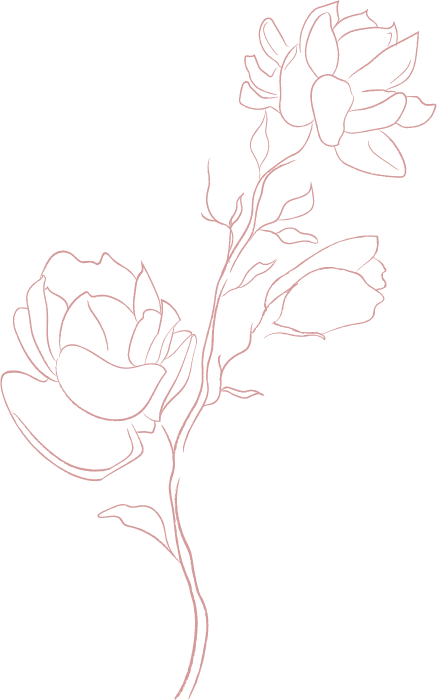 jasmine flowers white 1.2 Converted 1 NAWETA AESTHETICS