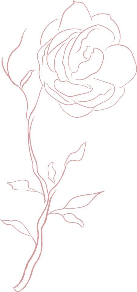 jasmine flowers white 4.1 Converted 1 NAWETA AESTHETICS